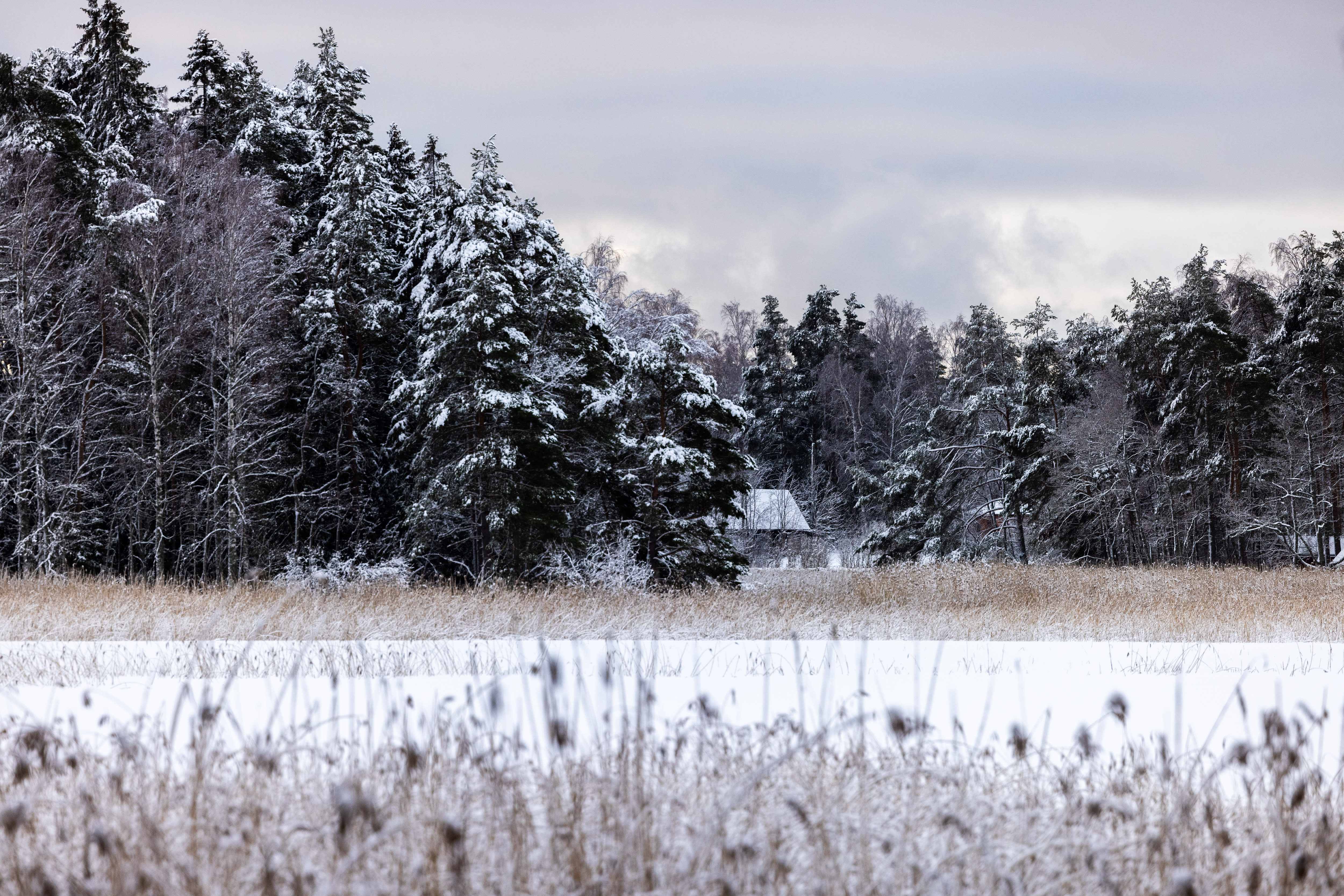 Finlandia verá la primavera "para el Primero de Mayo", dice el meteorólogo de Yle cuando bajan las temperaturas