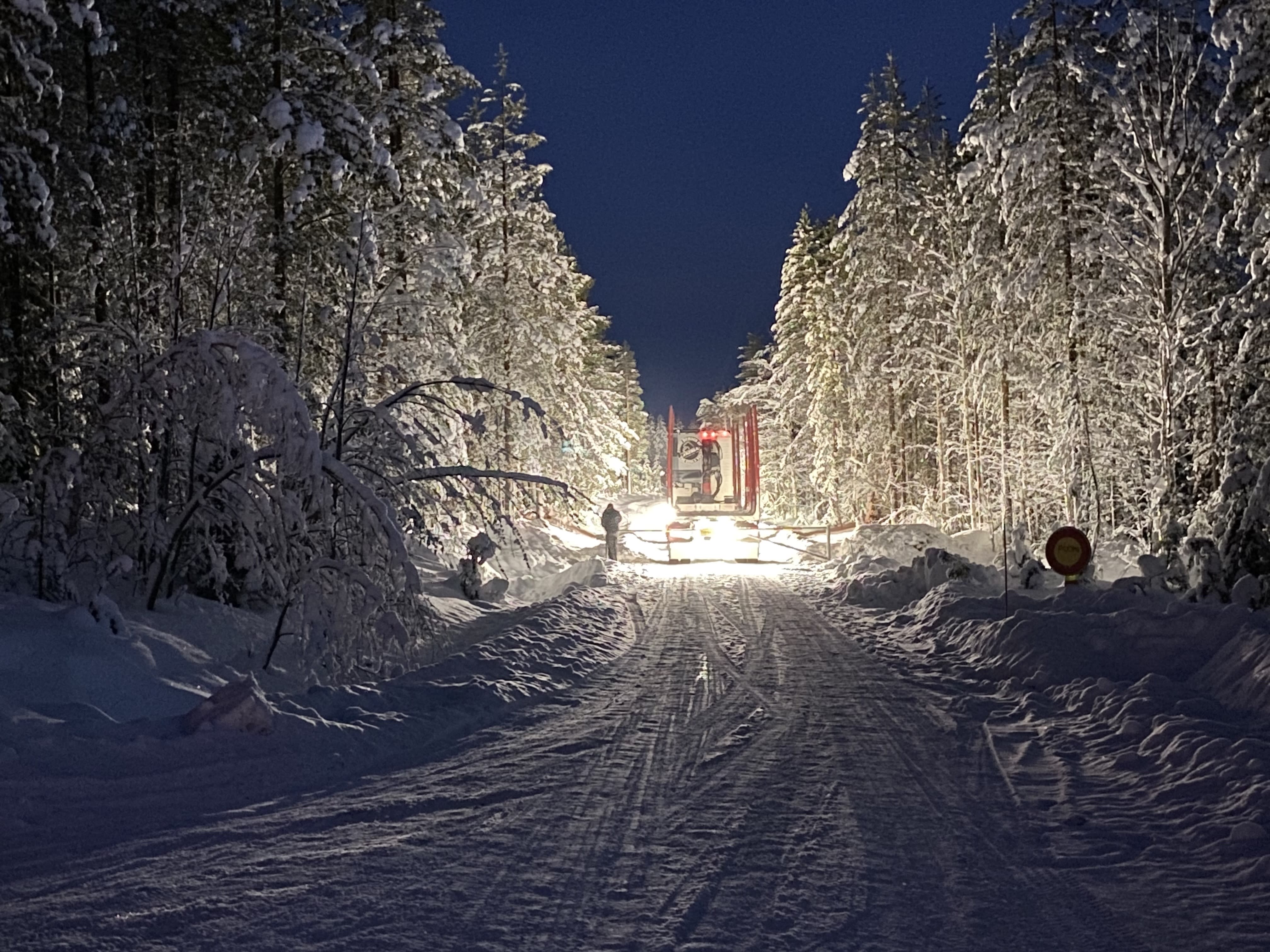 Activists block the road to a logging area in Lapland