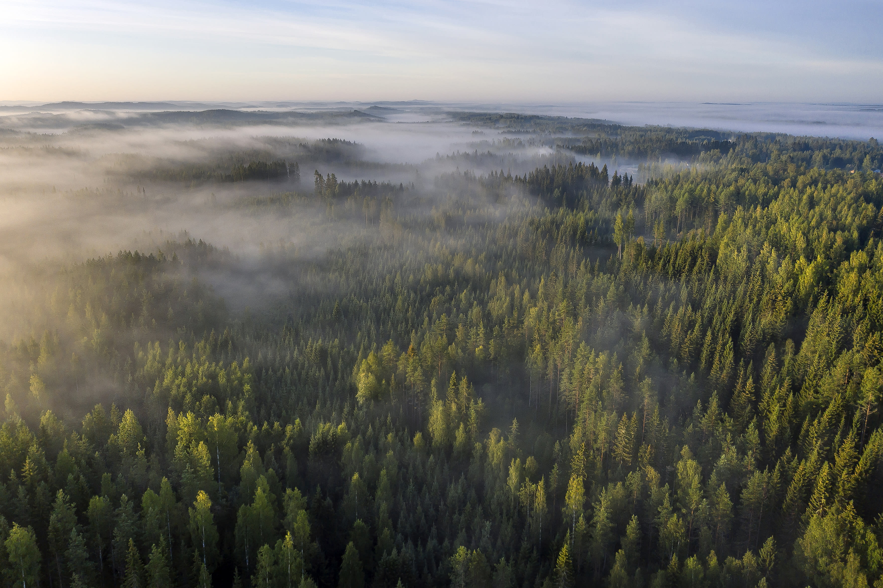 Finnland müsse mehr tun, um die Emissionsziele zu erreichen, heißt es im Bericht des Ministeriums