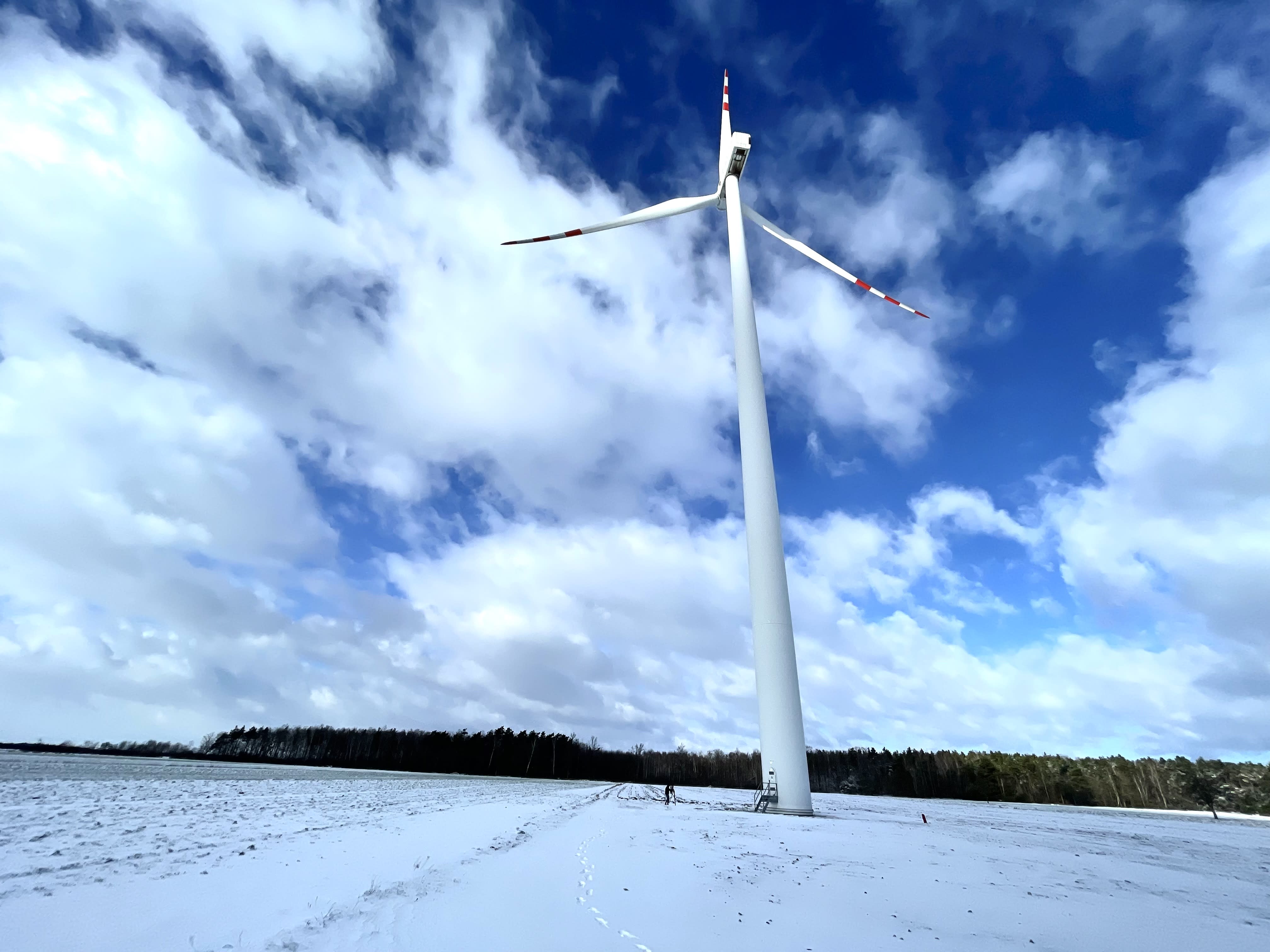 January broke wind power records