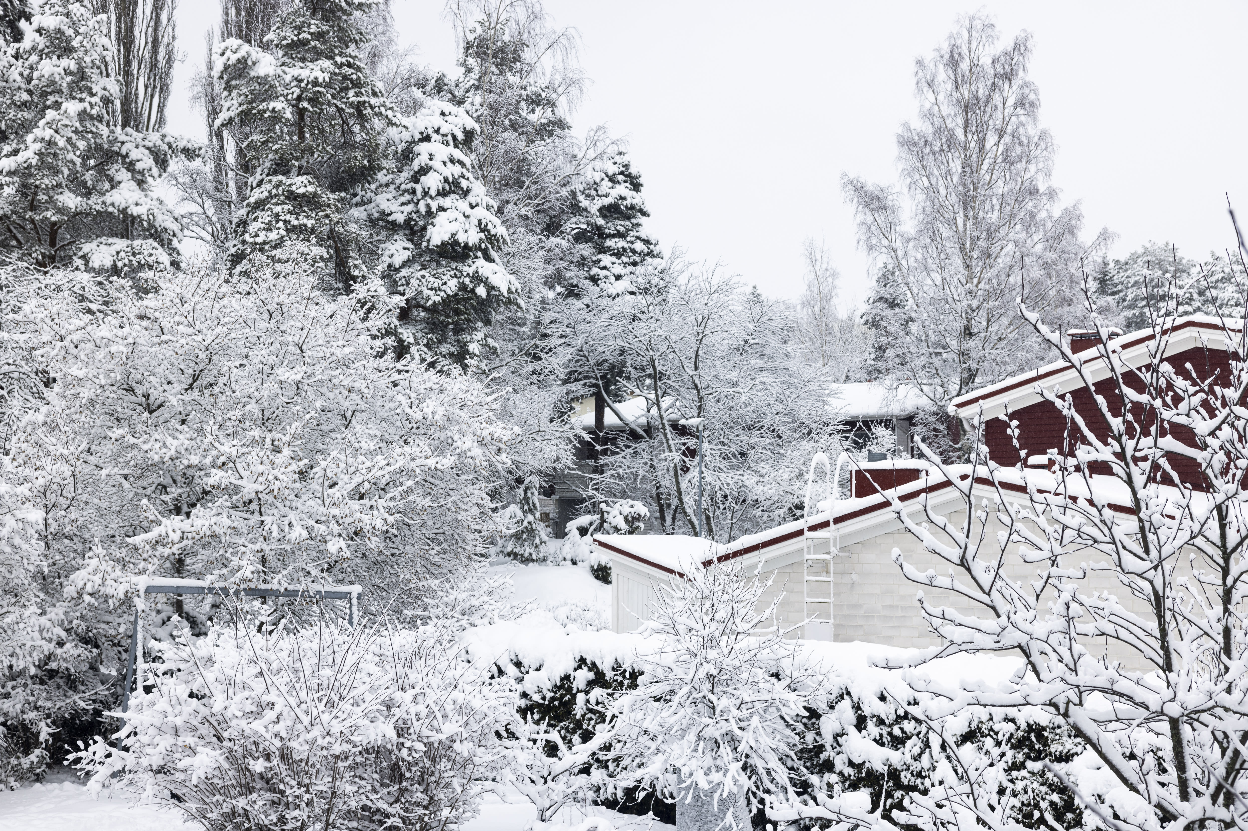 Helsinki, um diese Woche „den kältesten Tag des Winters“ zu erleben