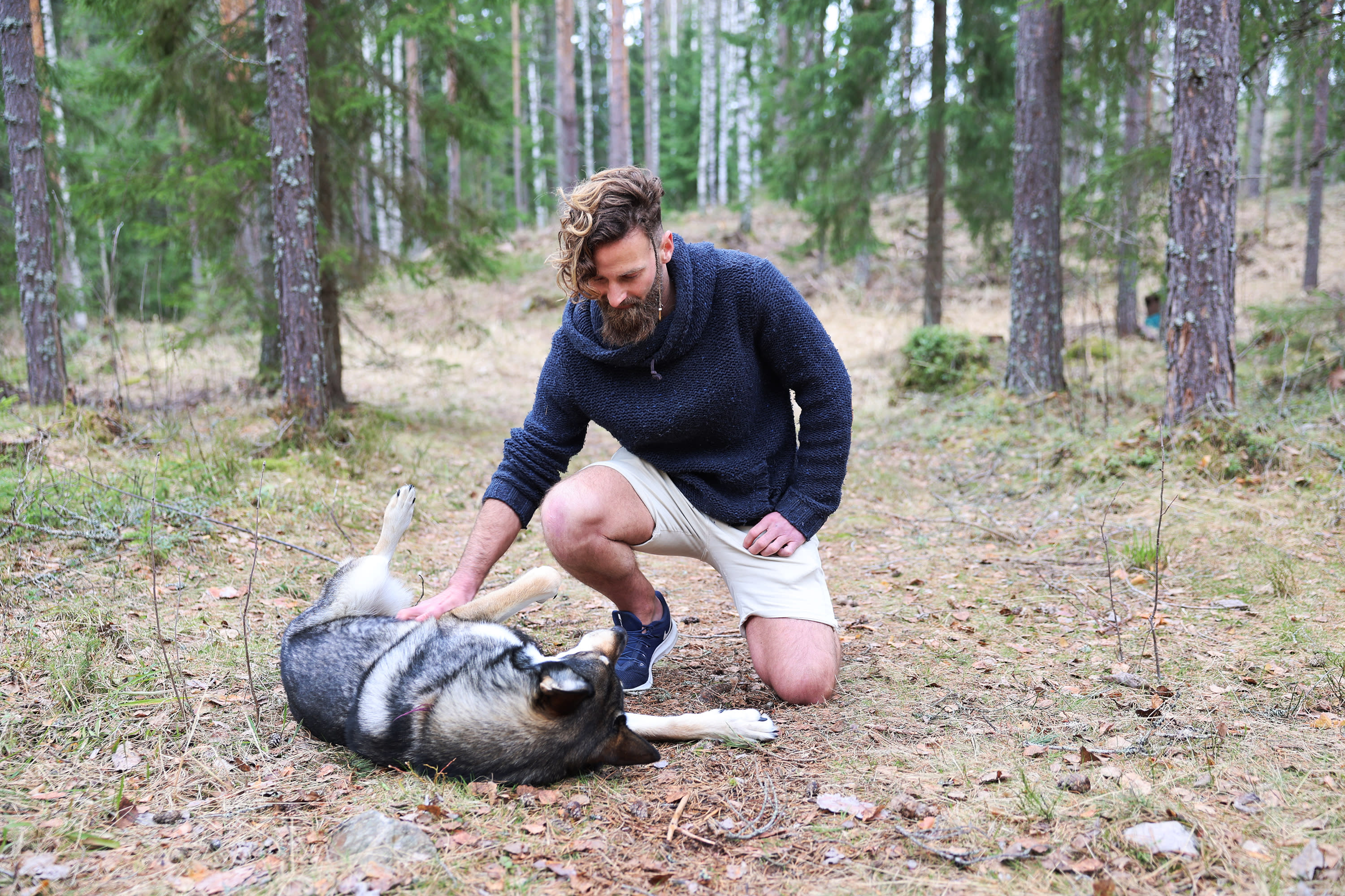 Finland "i hated" the dog owner is blamed for animal welfare