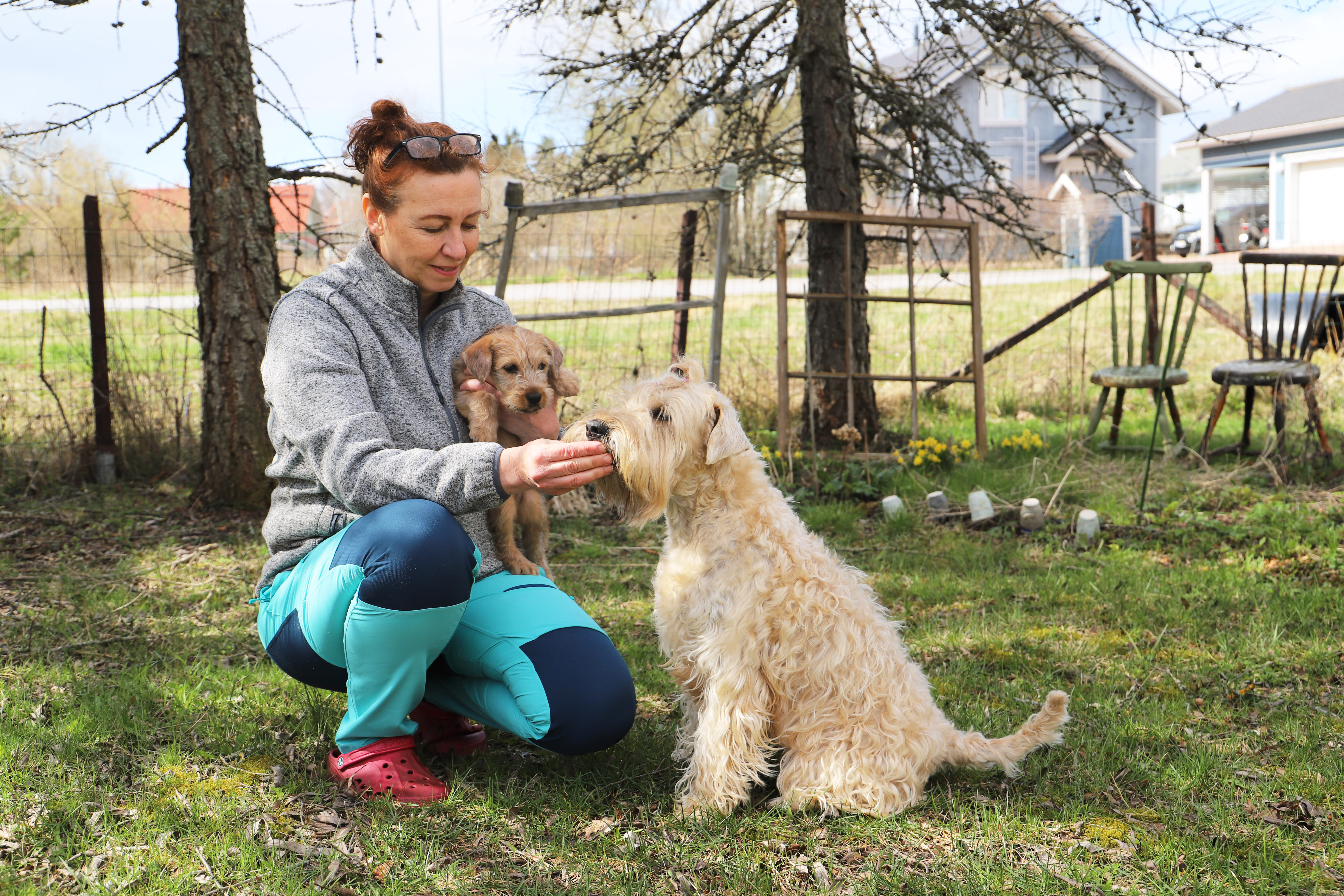 Zeitungen vom Montag: Regierungsverhandlungen gehen weiter, das Hunderegister wird eröffnet und das Wetter wird wärmer