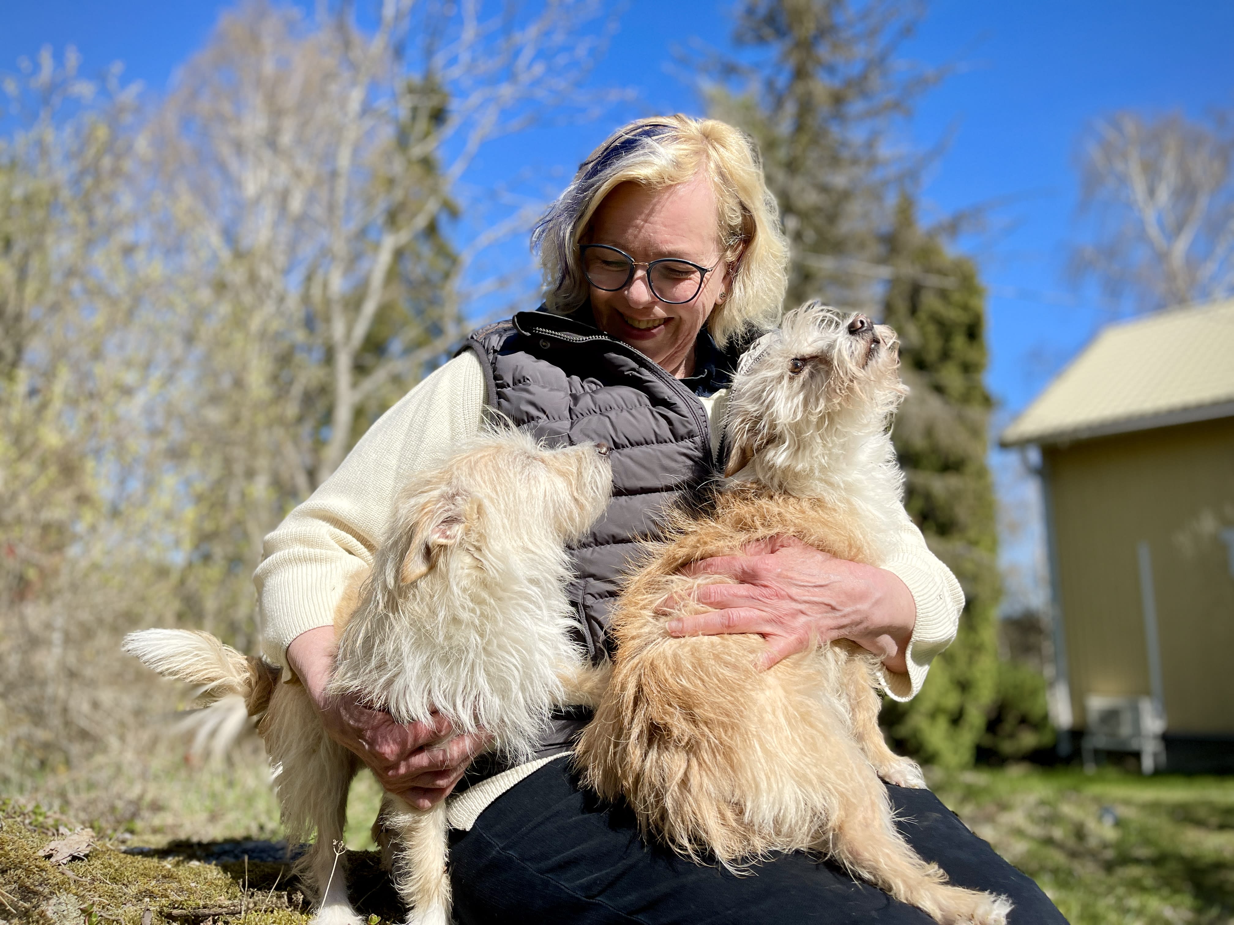 Finlandia introduce un polémico sistema de registro de perros