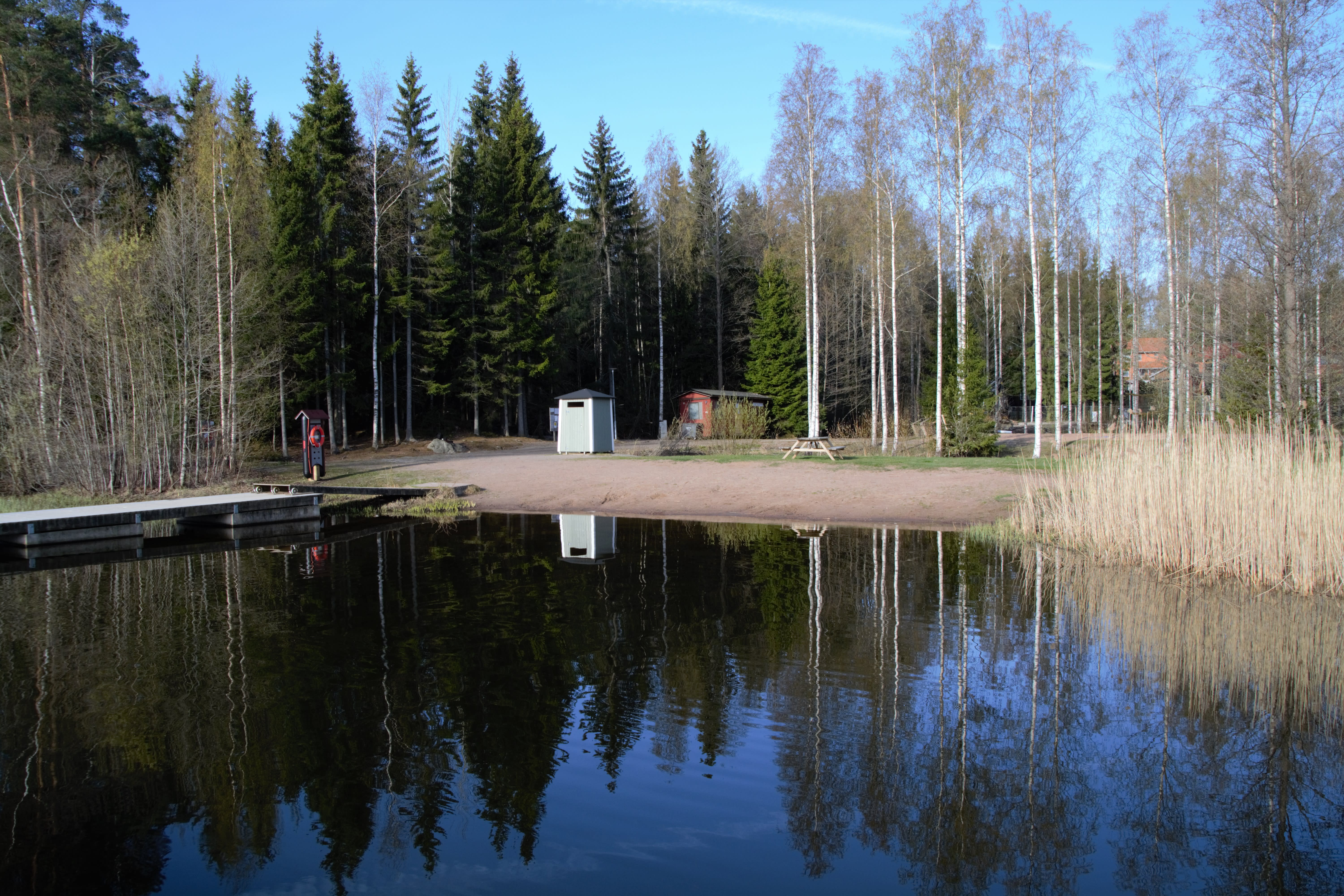 핀란드의 차가움이 수영하는 물의 온도를 식혀줍니다.