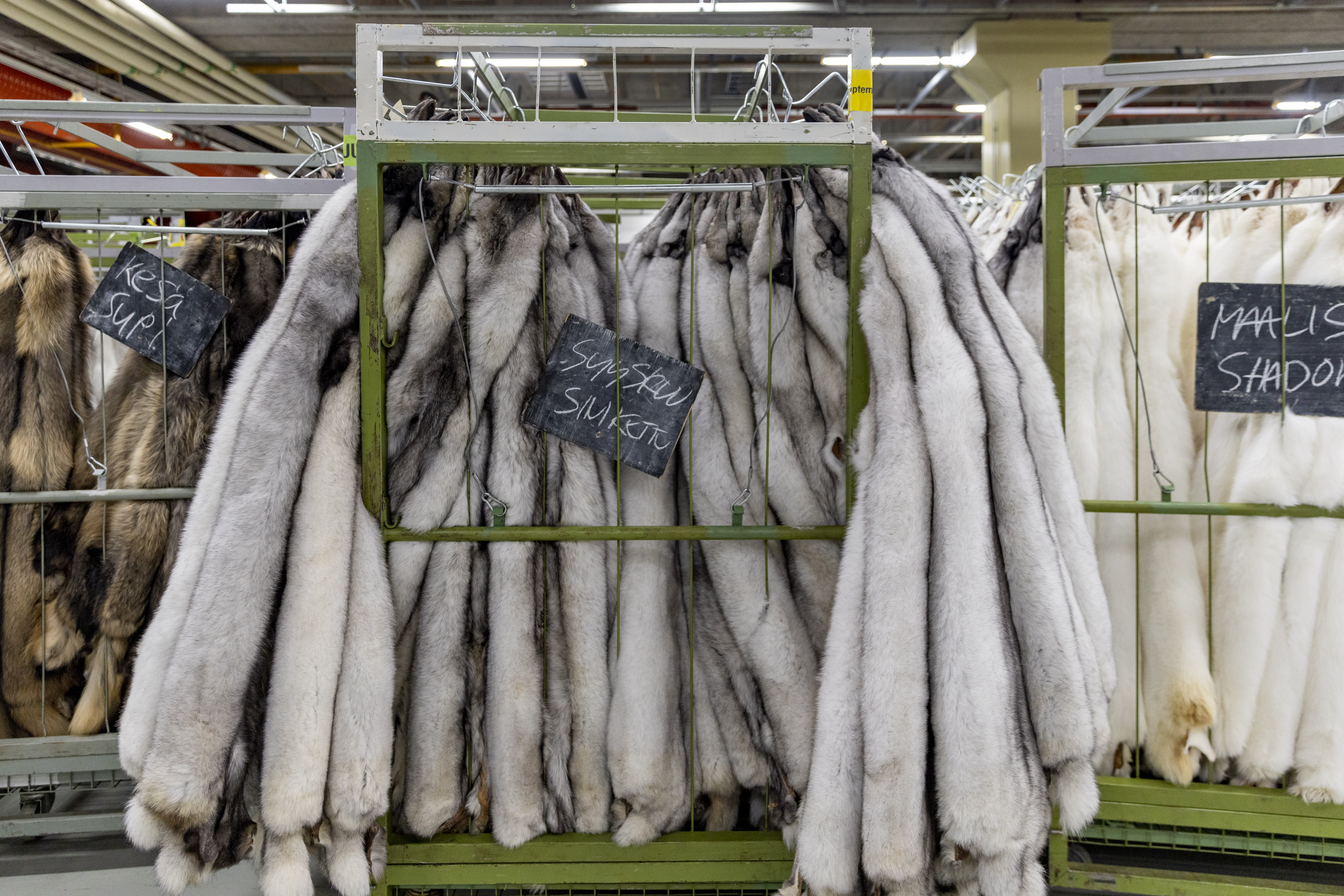 A petition calling for a ban on fur farms has gathered almost 100,000 signatures