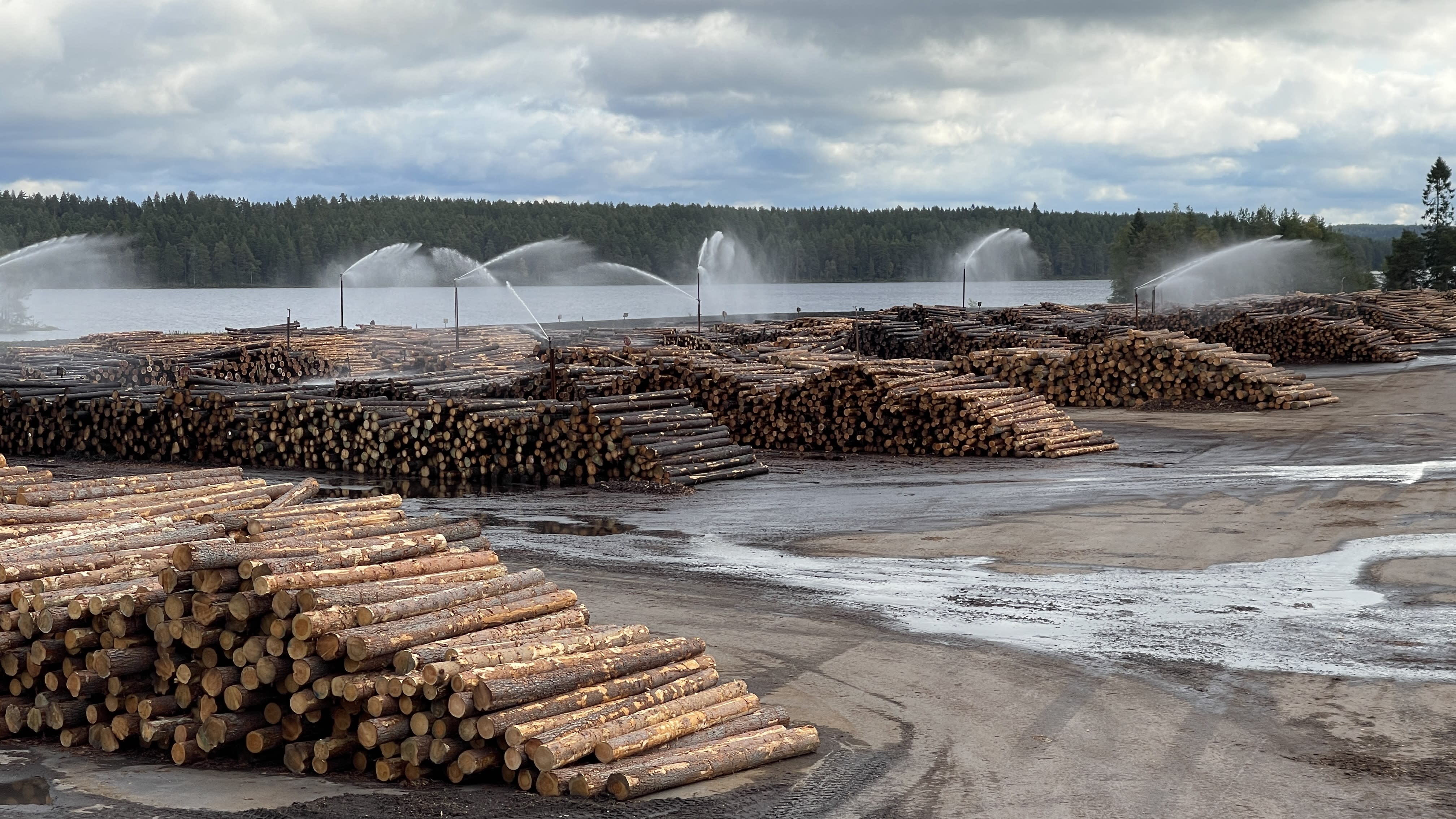 A shortage of wood forces a change in the Finnish wood industry