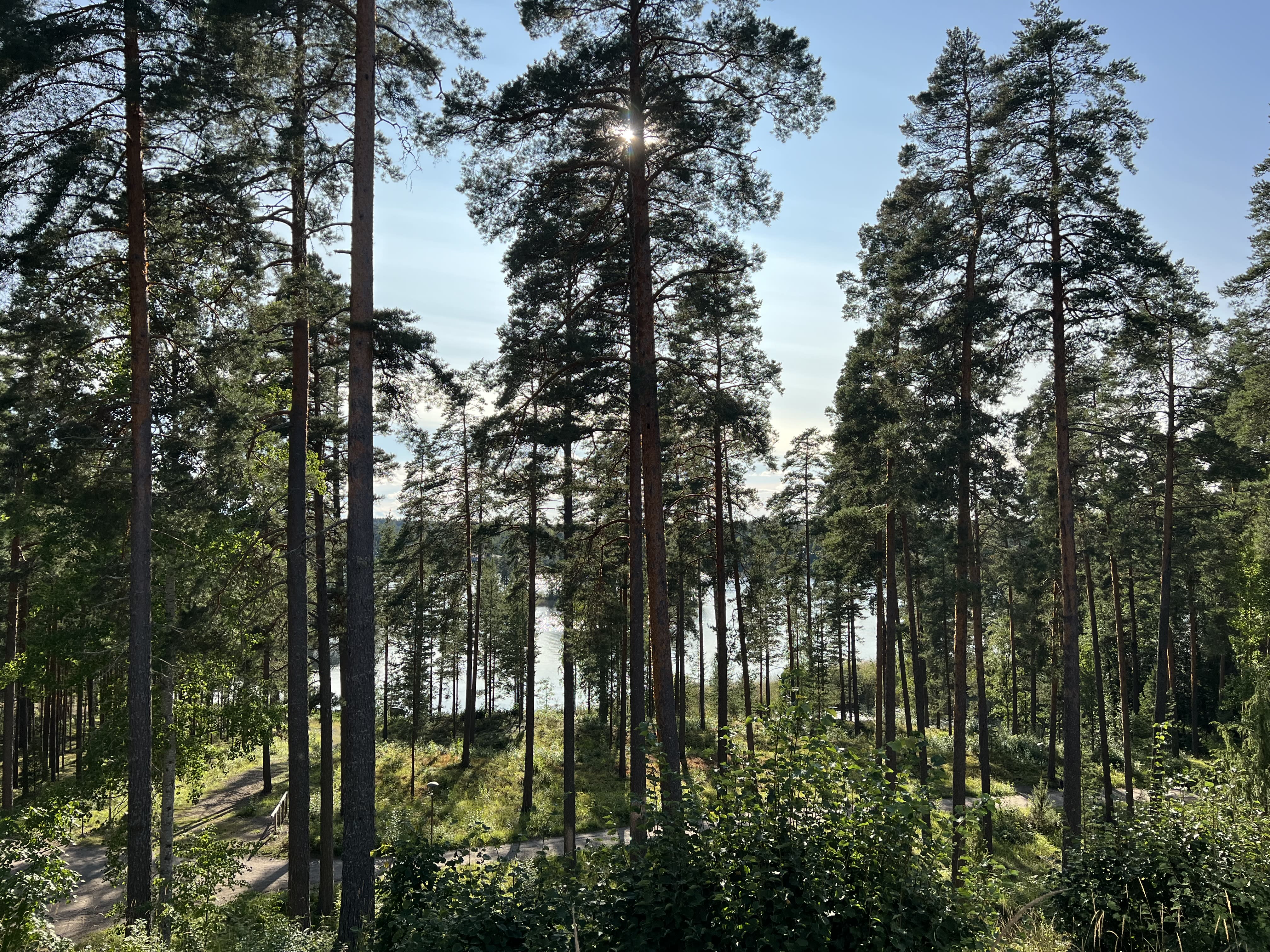 Finnland hat den wärmsten September seit Beginn der Aufzeichnungen