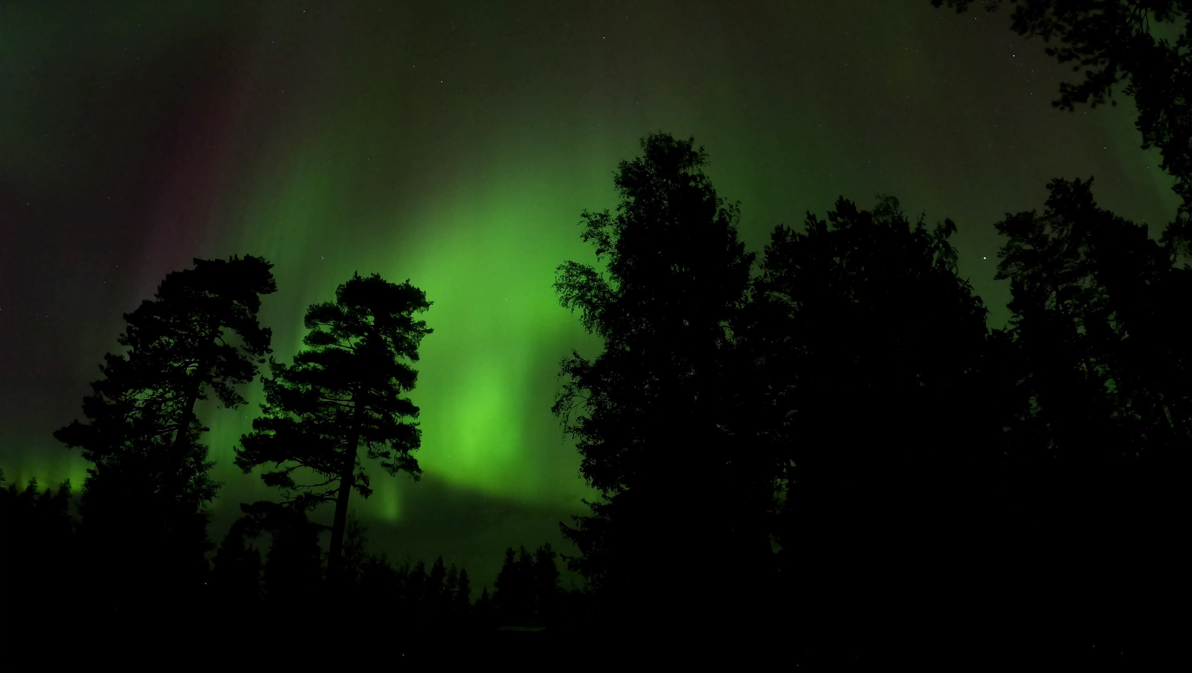 See: A magnificent aurora borealis light up the Finnish night sky