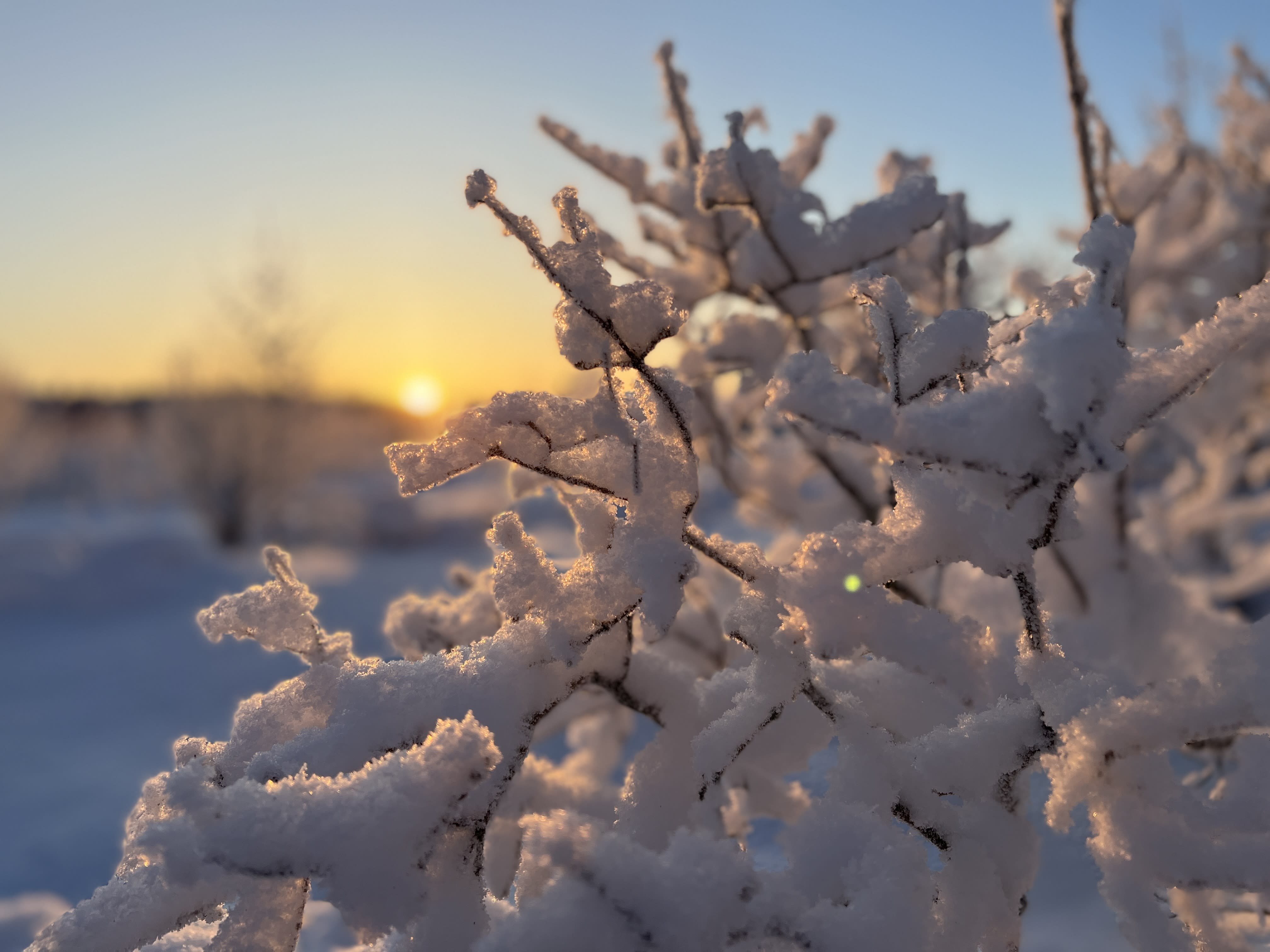Colder and colder – Enontekiö sees a record low of -42.1 degrees in winter
