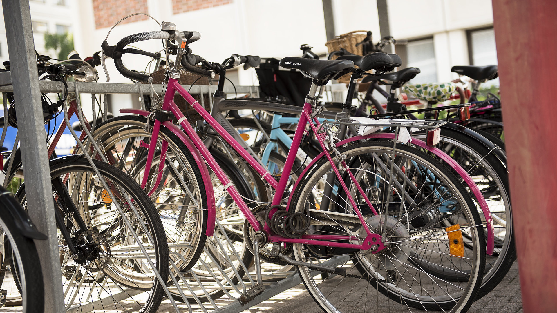 Police are investigating the black trade in bicycles