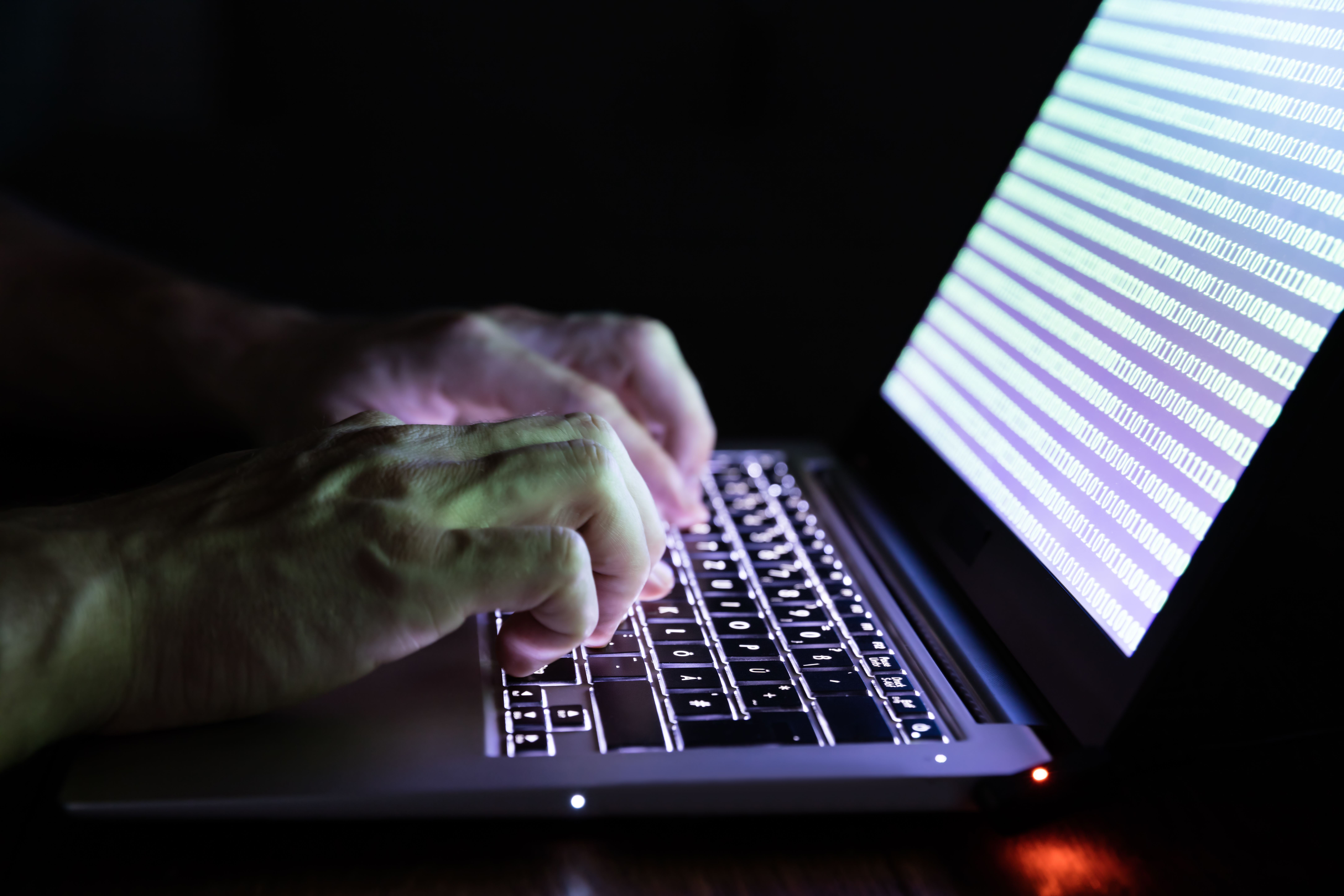 Tuesday leaves: Tighter restrictions, dark net vaccines, forest list