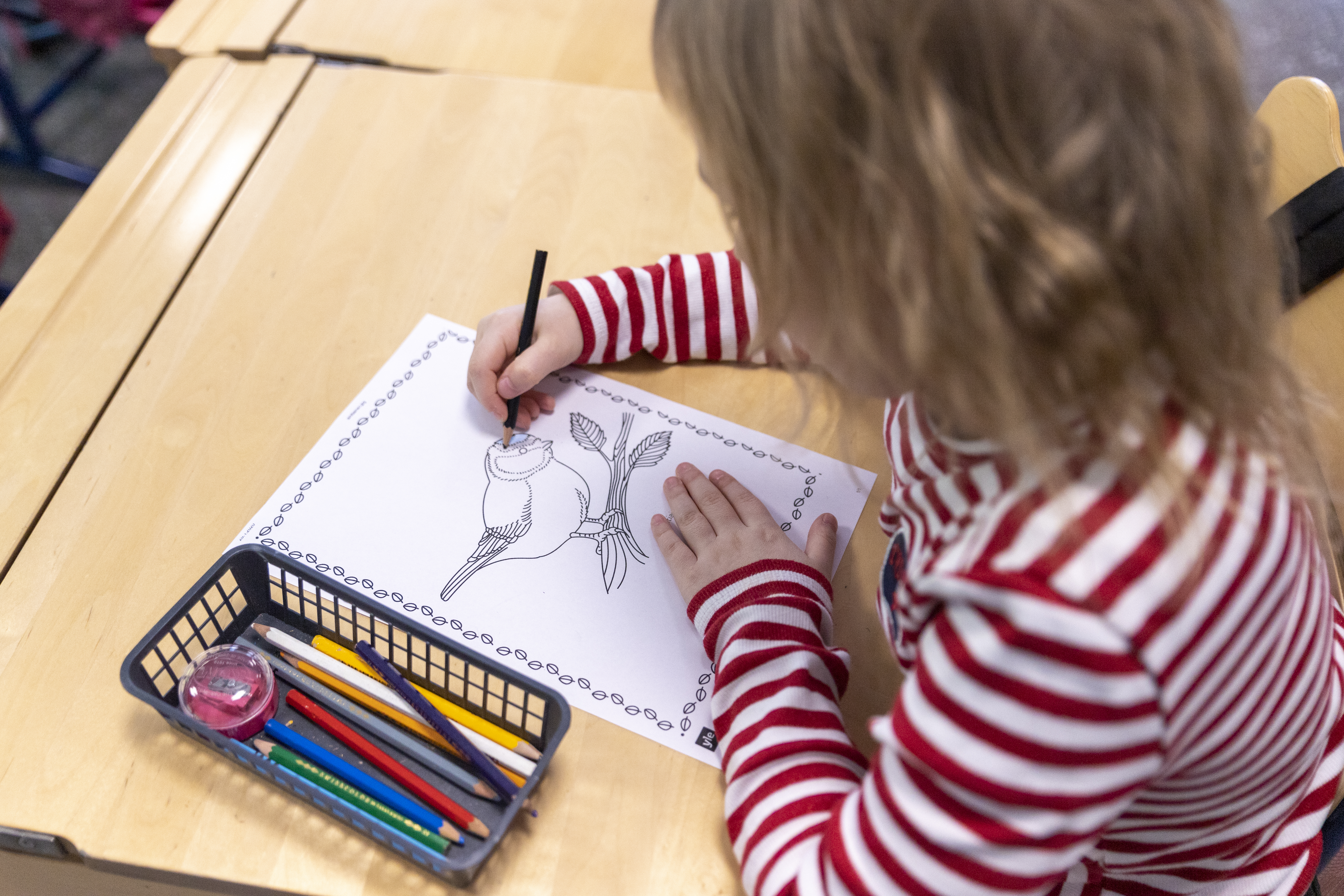 Finland starts a two-year pre-school exam