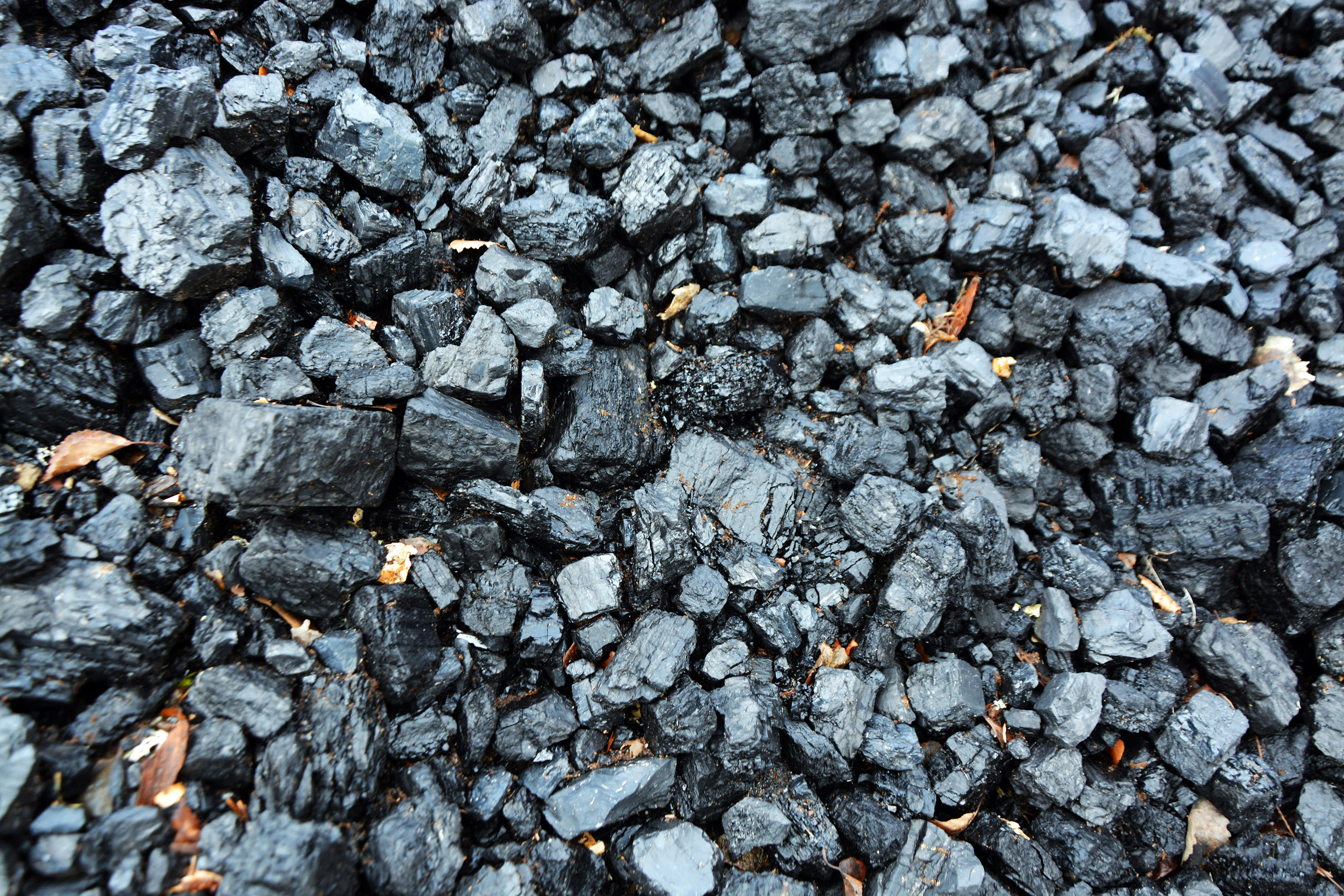 Finland consumed 10 percent more coal last year than in 2021