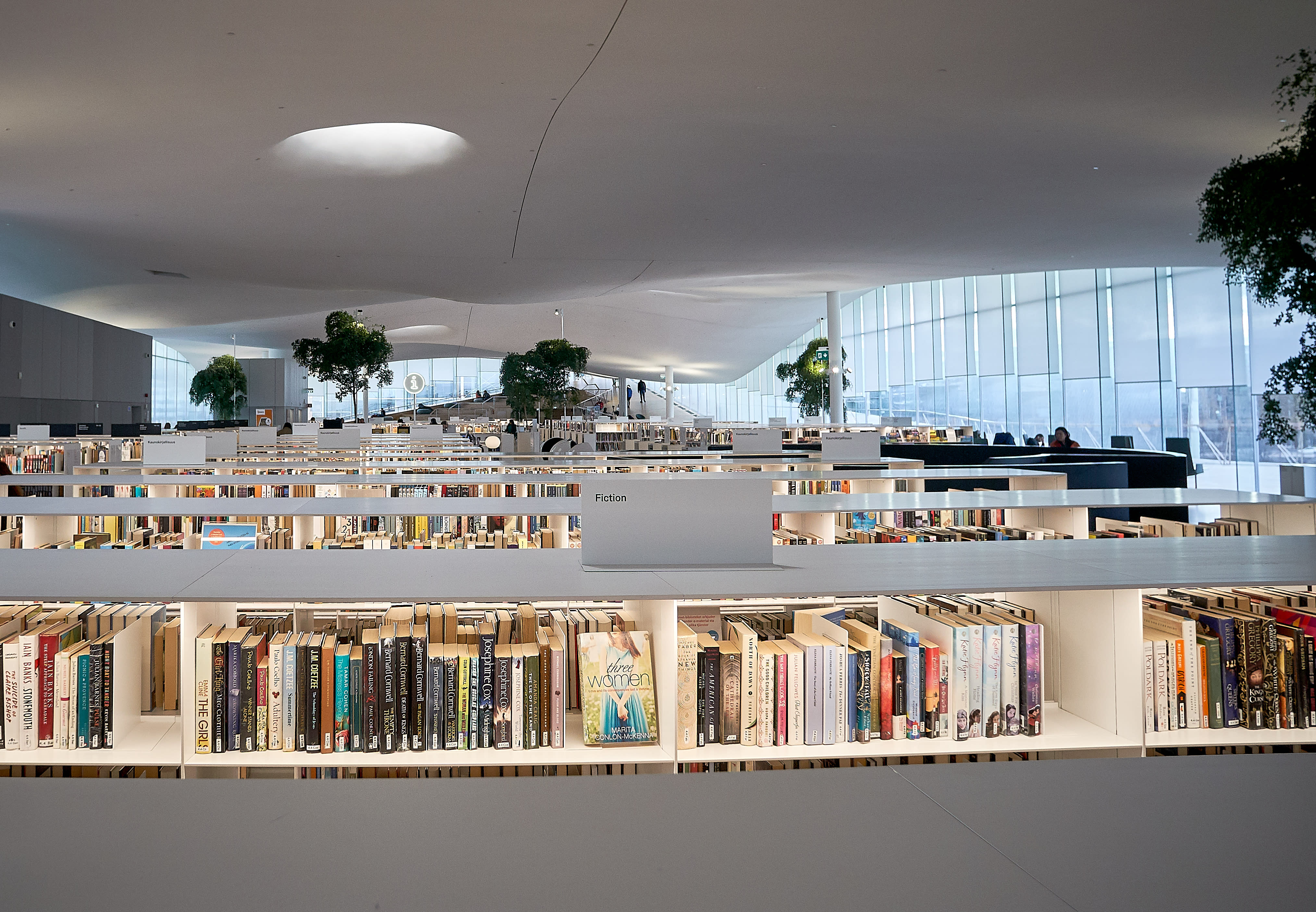 The court convicted two of Helsinki’s library in a stabbing case