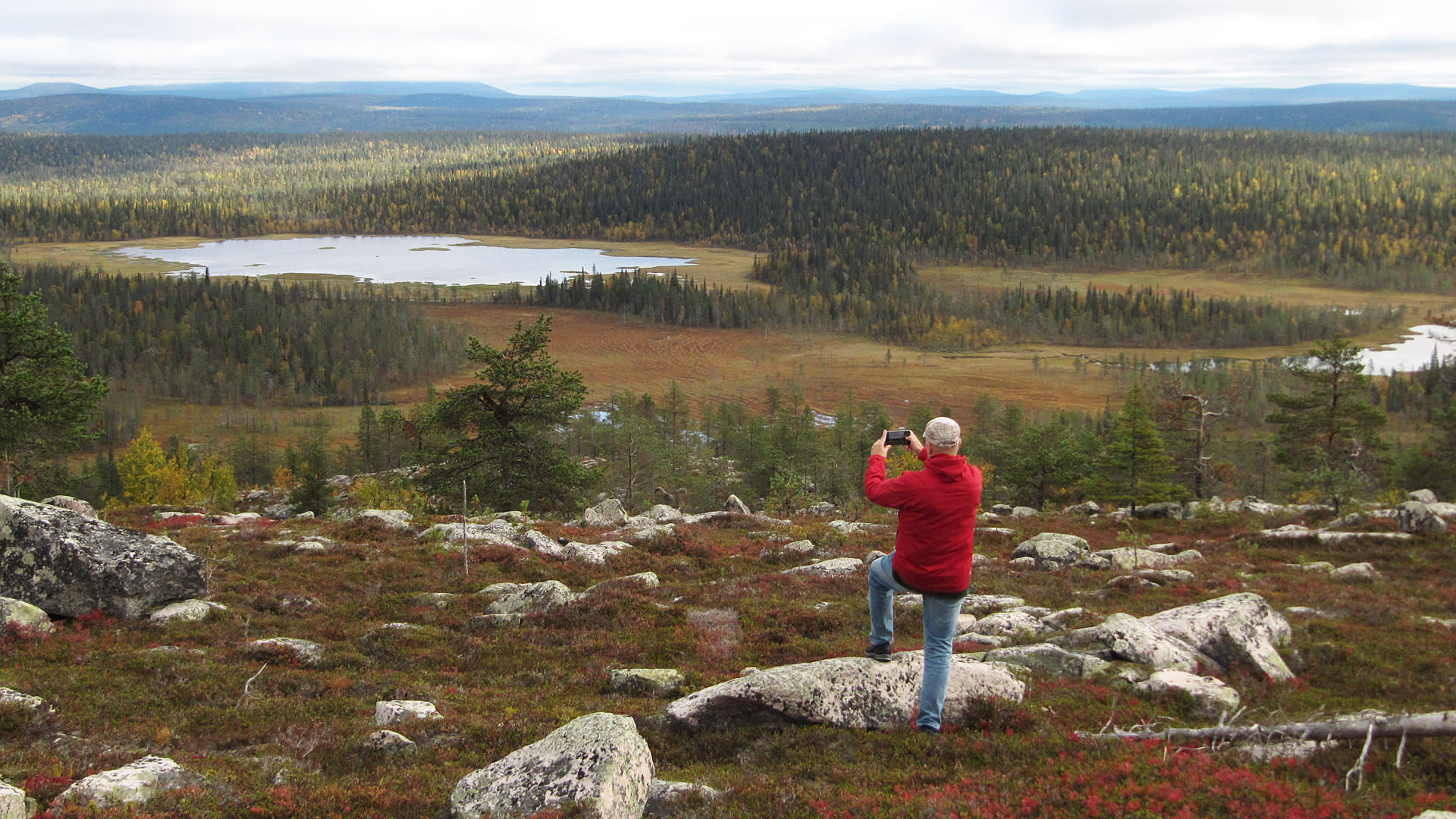 Finland approves the establishment of Salla National Park