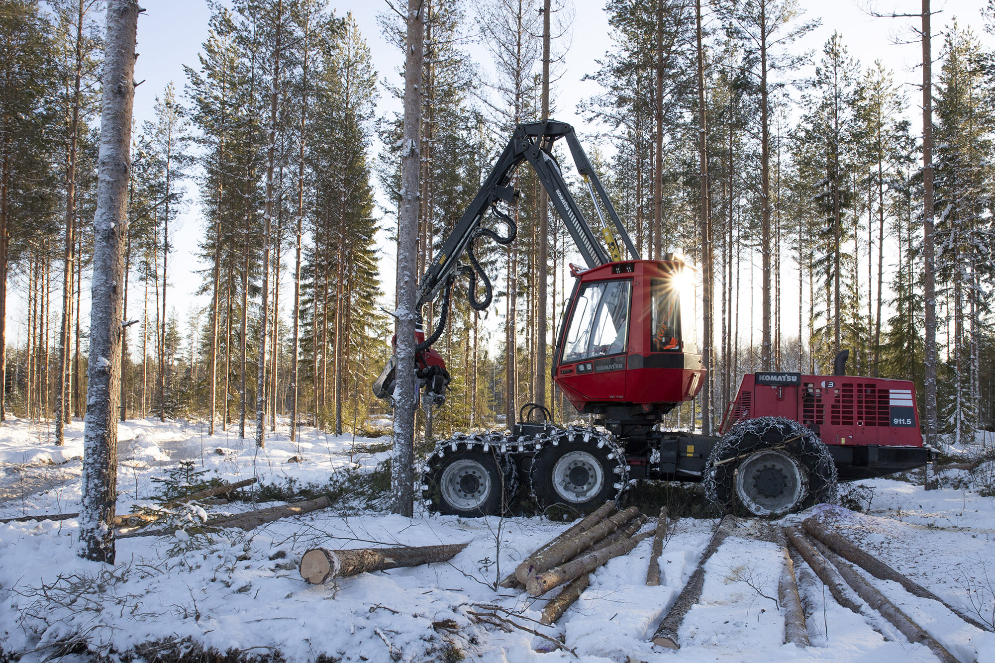 Luke: Finland's carbon neutrality in 2035 can only remain a goal