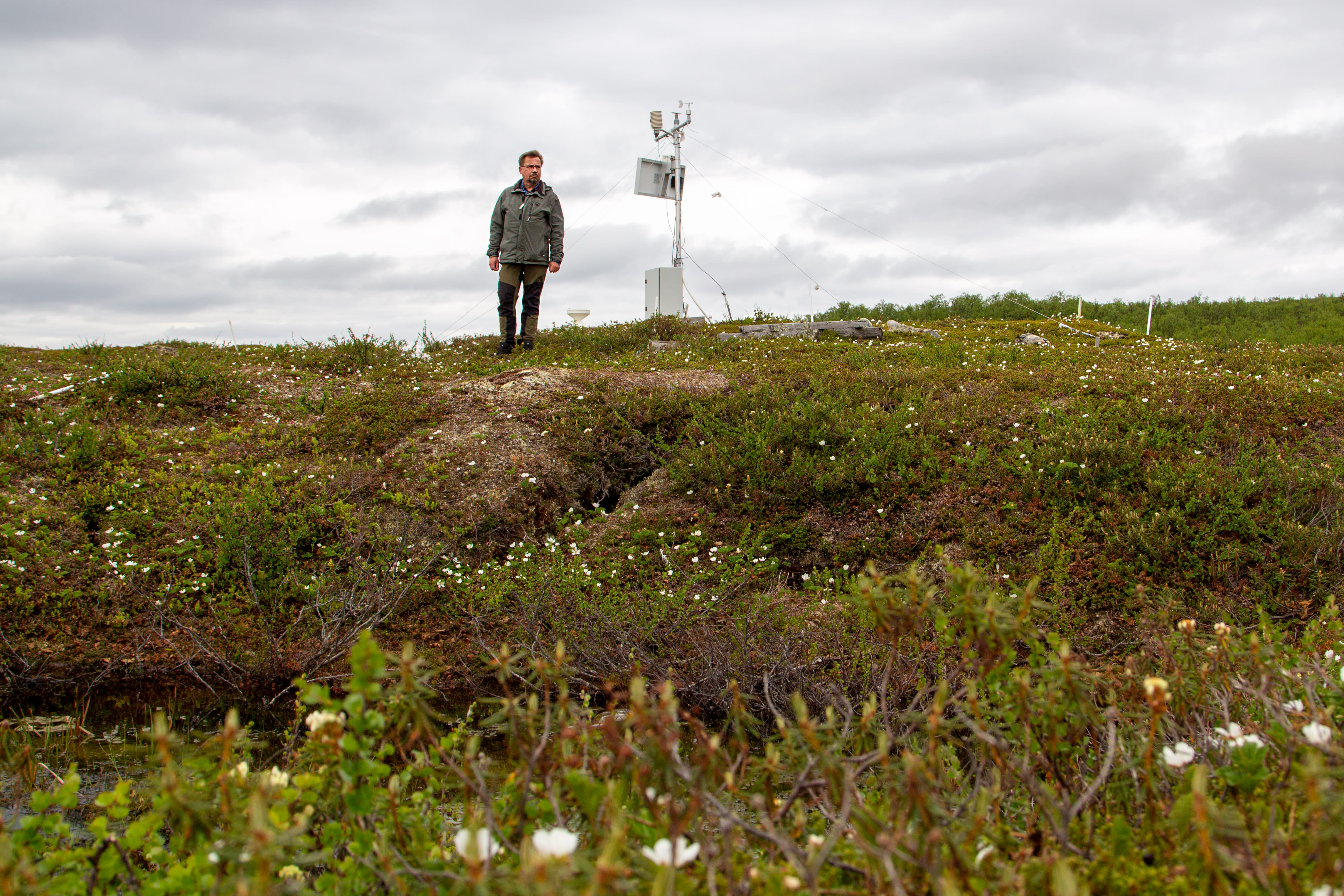 Metsähallitus: Lapland is losing its bogs due to climate change