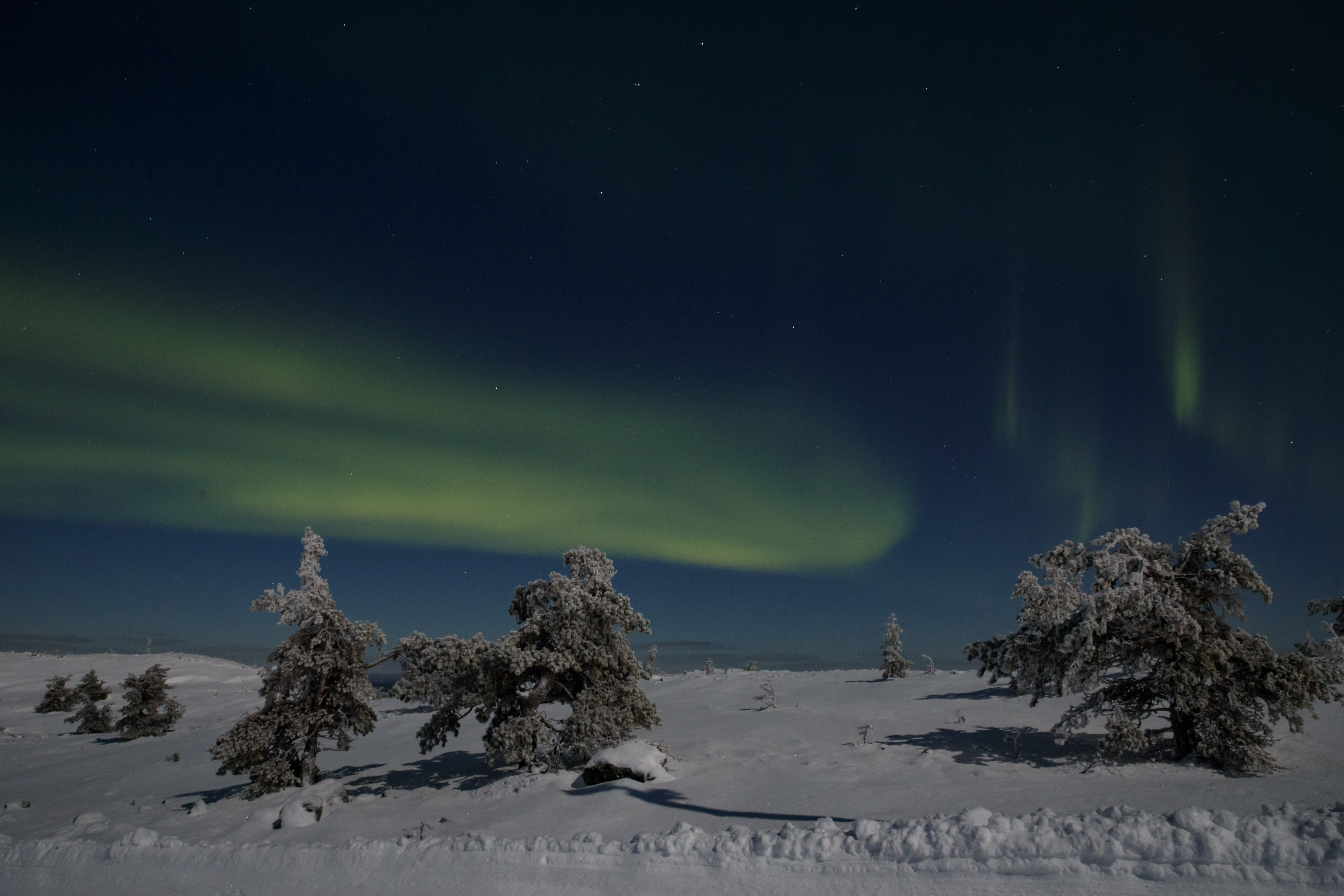 Southern and central Finland is set to be shown in the northern lights