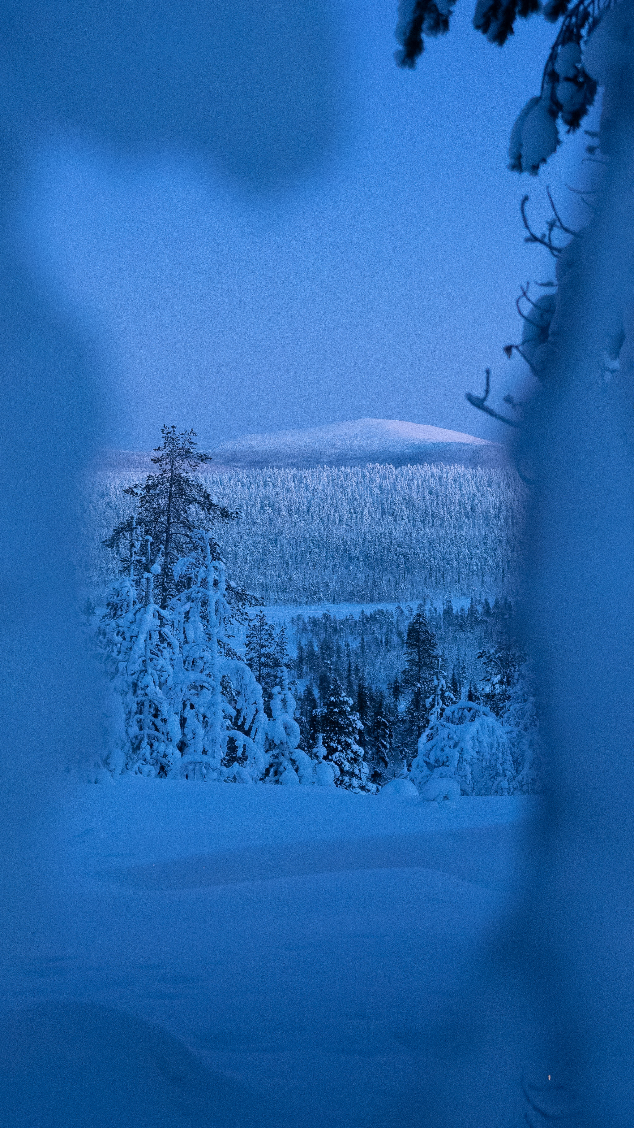 こんにちは暗闇: フィンランドのラップランドは数週間日光がなければ落ち着くでしょう