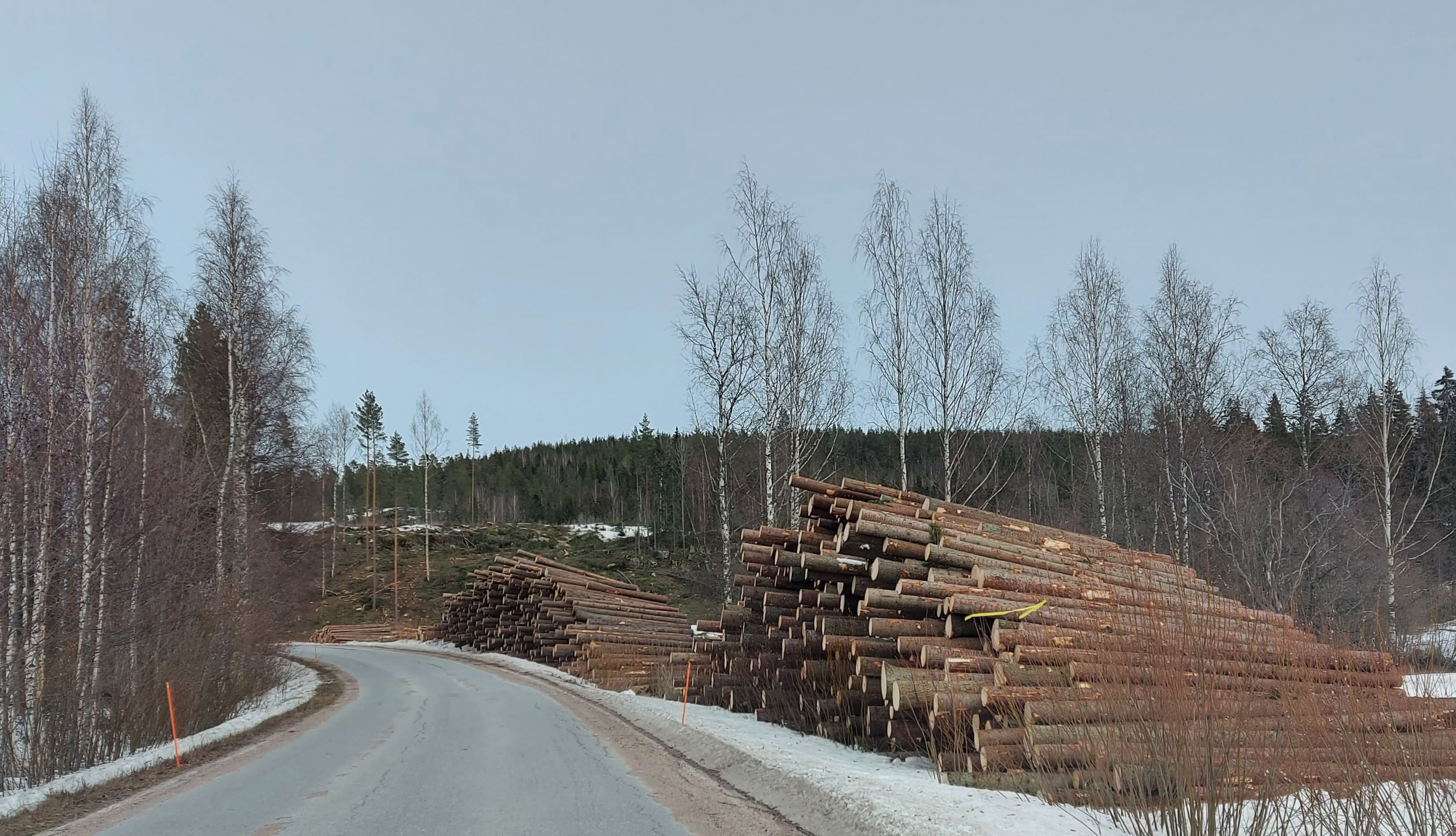 Felling exceeds a sustainable level in southern Finland, says the Natural Resources Center