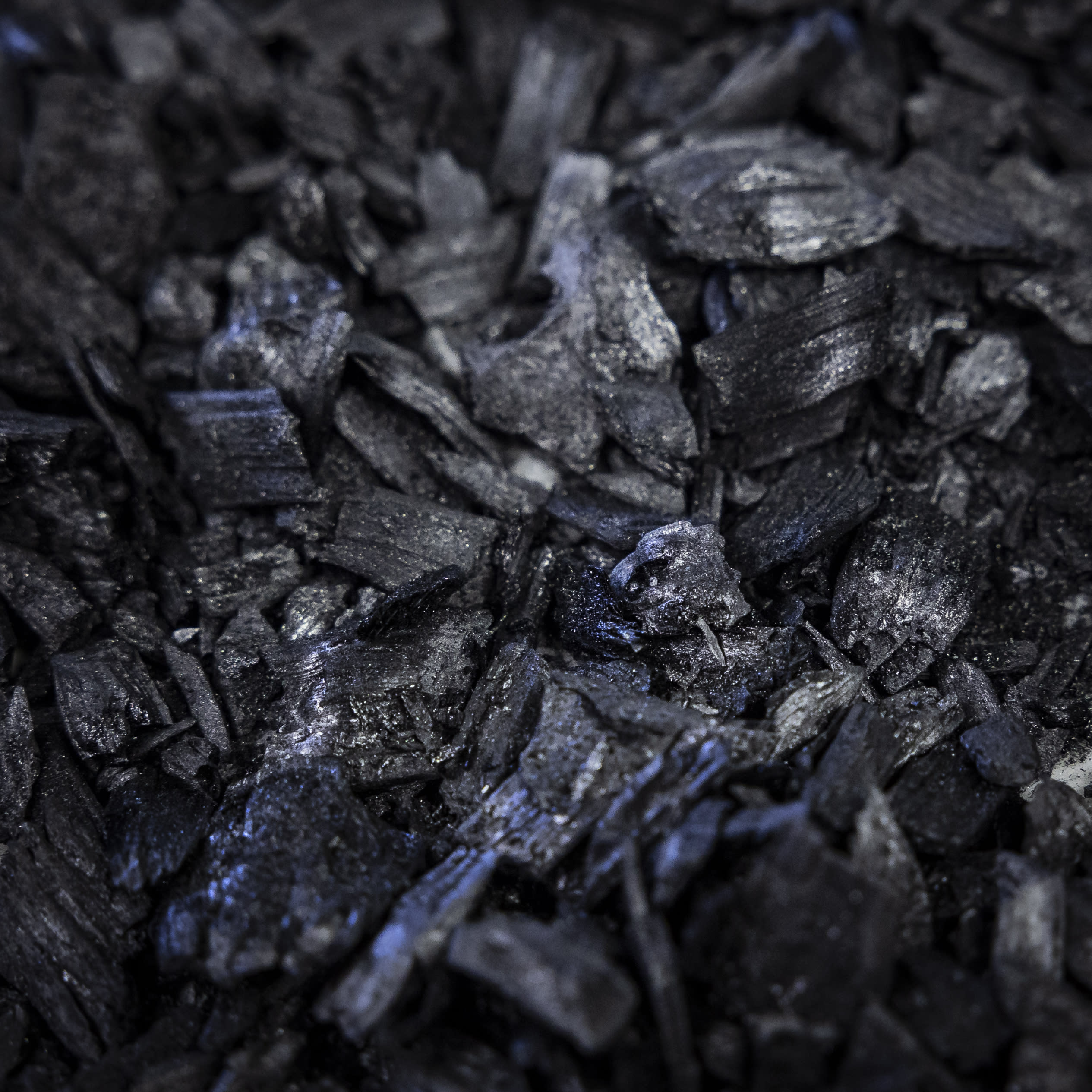 Finland’s coal consumption will increase by 8 percent