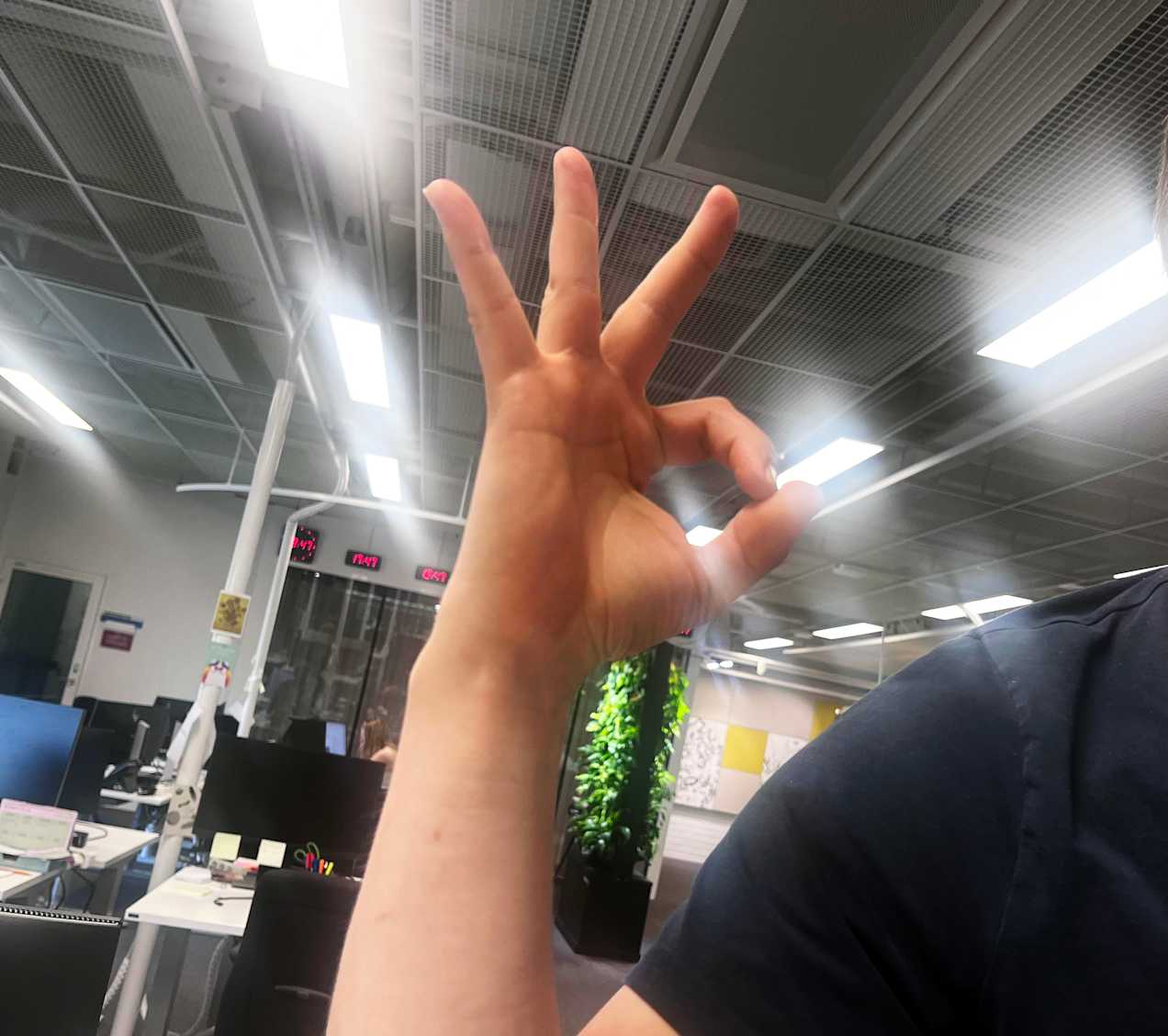 Kuva