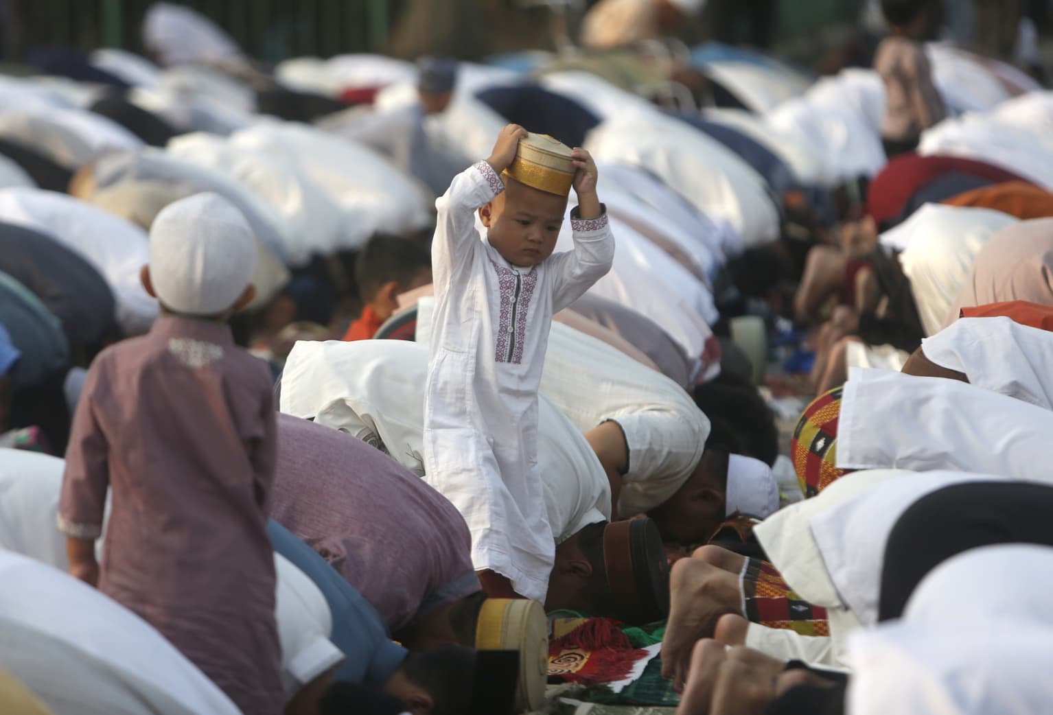 Pastdan katta mushuk lablari fotosurati