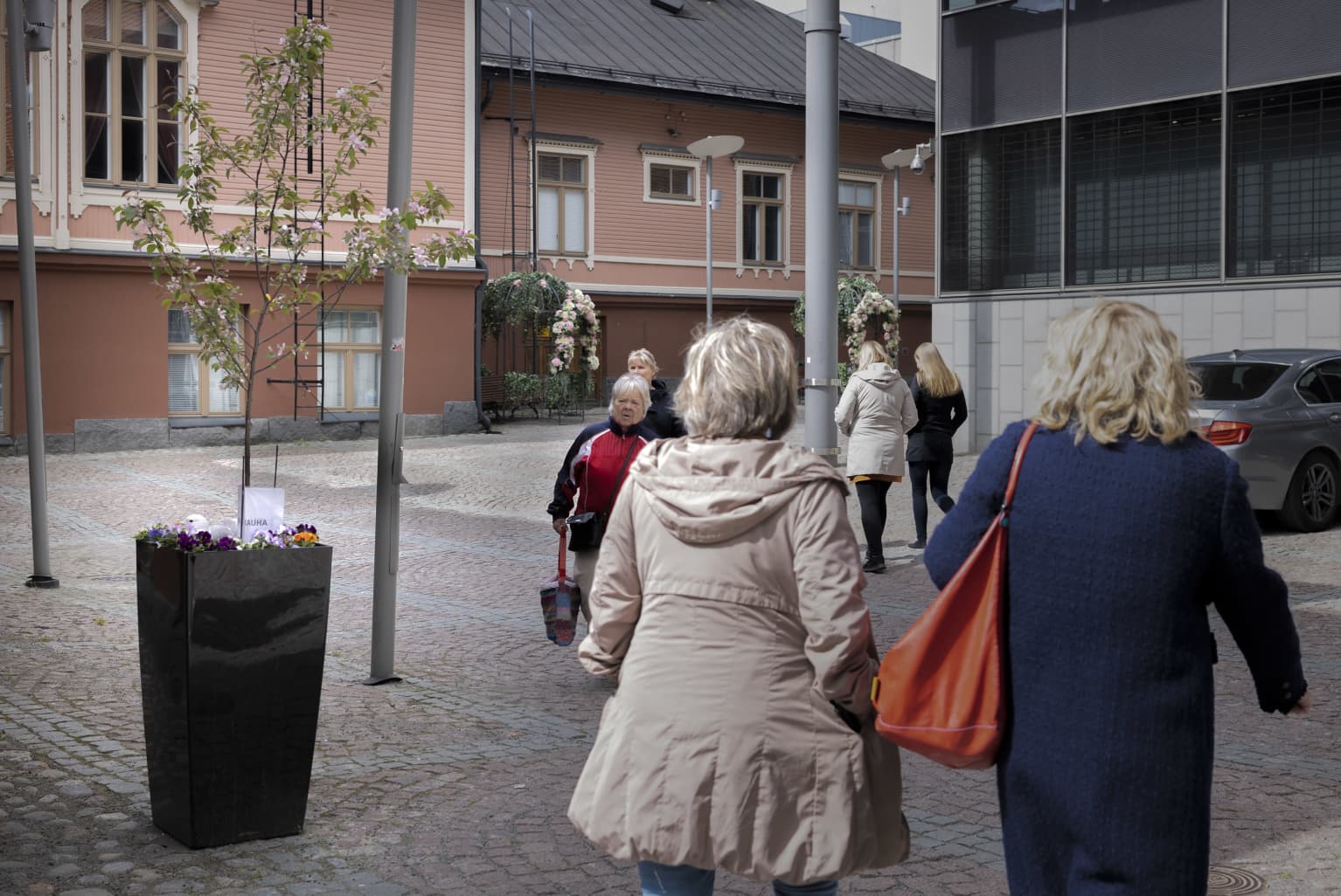 Kukkalaatikossa hautova lokki hämmästyttää keskellä Jyväskylän 