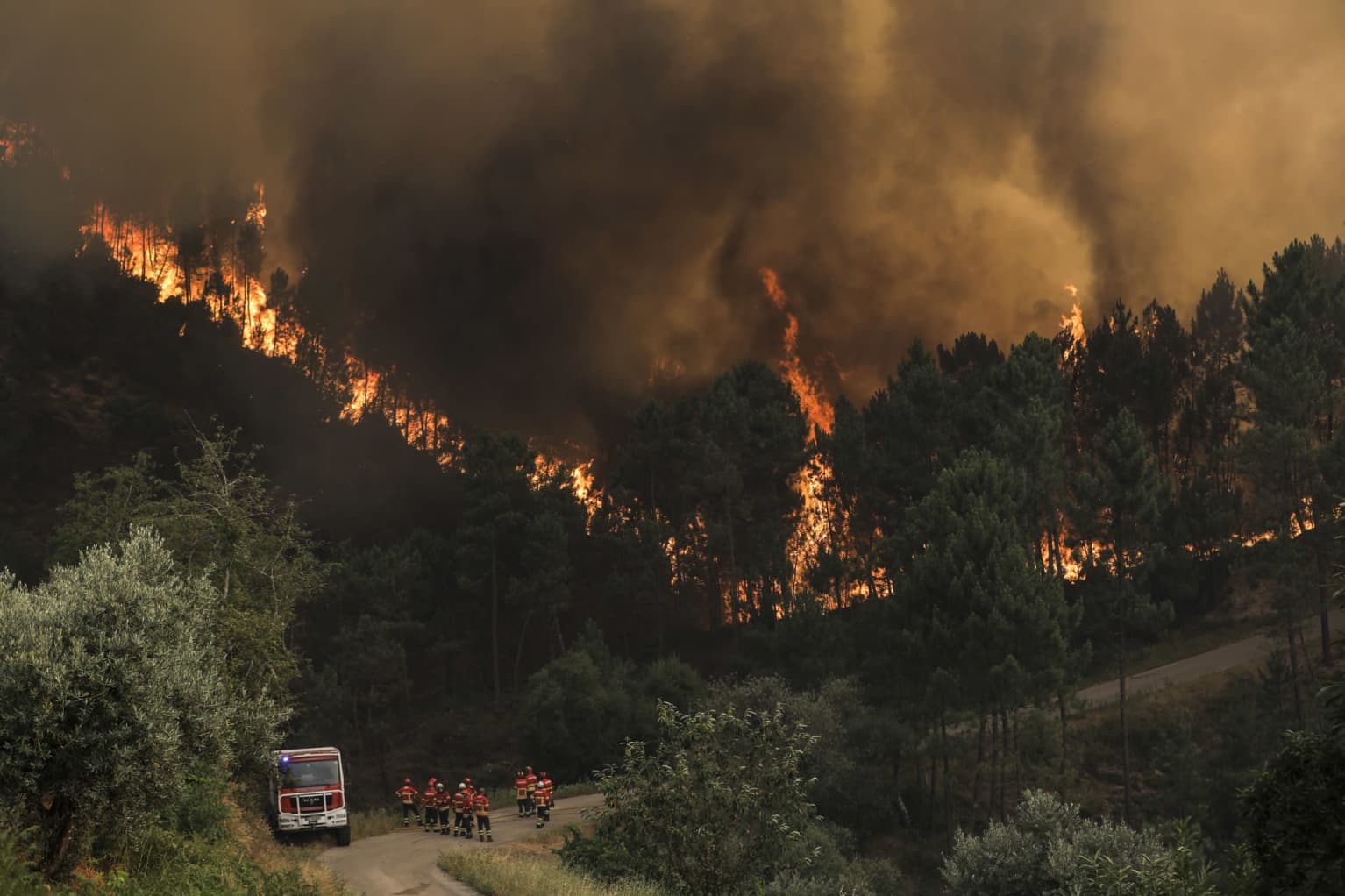 Finland sending 50 firefighters to Portugal for expected blazes ...