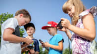 Neljä lasta tutkivat kännyköitään