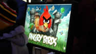 Angry Birds tietokoneen näytöllä