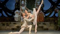 Jani Talo and Petia Ilieva in the National Ballet's "Sleeping Beauty"