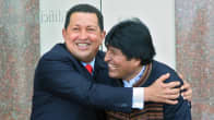 Hugo Chávez ja Evo Morales nauravat.