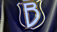 Bluesin logo.