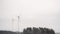 Wind turbines over a forested area. 
