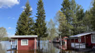 Tulva on saartanut asuintaloja Pellossa.