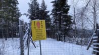 Fencing along a snowy forest scene. Yellow sign stating in a number of languages that the area is a border zone.
