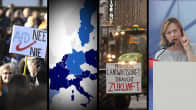 Neljän kuvan kollaasi. Ensimmäisessä kuvassa on mielenosoittaja kyltin kanssa, toisessa Euroopan kartta, kolmannessa on traktori jonan edessä on lakana johon on kirjoitettu saksaa ja neljännessä kuvassa on naishenkilö Girgoia Meloni puhumassa.