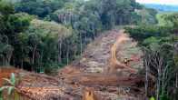Amazonin sademetsää hävitetään Brasiliassa toukokuussa 2022.