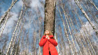 Nainen, jolla on punainen takki nojaa talvisessa koivumetsässä puuhun.