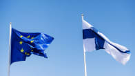 Kuvassa on Suomen ja Euroopan unionin liput.