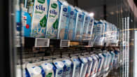yleiskuva - ruokakaupan maitohyllyt. Valion maitoja kuvassa.