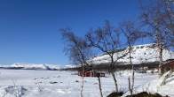 Luminen Saanatunturi aurinkoisessa kevätsäässä, etualalla Kilpisjärven rantaa, jossa kasvaa tunturikoivuja.