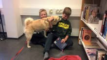 Library dog Hilma with Samuel Fors and Pontus Engdal in Kimito, Southwest Finland