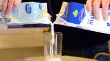 Arlan ja Valion tlkeistä kaadetaan maitoa samaan lasiin.