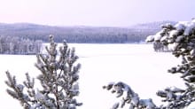 Talvimaisema järvelle.