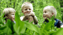 Kolme poikaa luonnossa istuu kasvien keskellä kesällä.
