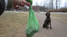 Koirankakkapussi ja koira