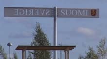 Rajakyltti Suomen ja Ruotsin rajalla Torniossa.